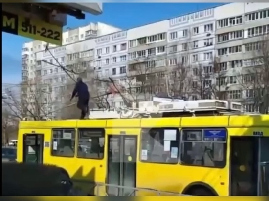 На улице Новоселов в Рязани у троллейбуса загорелись «рога»