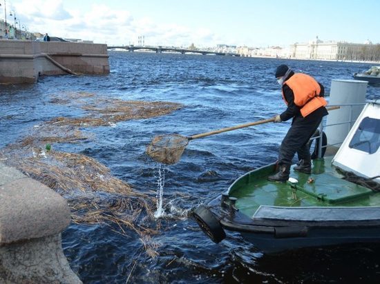 В Петербурге объяснили феномен темной воды, про желтую воду уже забыли