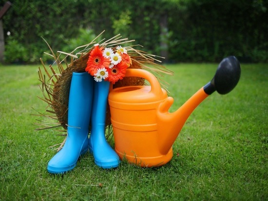 В Тамбовской области с 29 марта по 2 апреля пройдут приёмы для дачников и садоводов