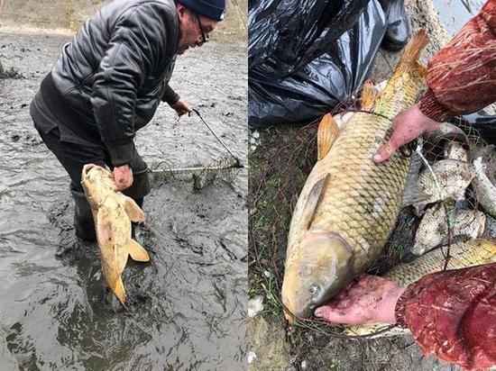 Ростовчане устроили незаконную рыбалку на Северном водохранилище