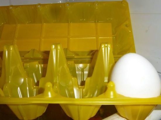 Птицефабрика омского депутата выпустила первую партию яиц после ЧП с птичьим гриппом