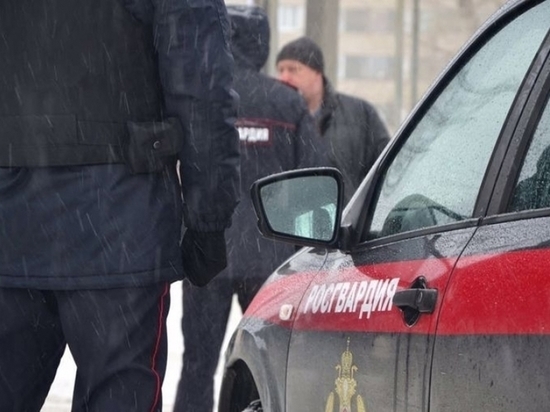 В Архангельске задержан местный житель, подозреваемый в краже алкоголя из магазина