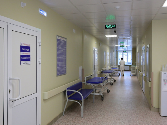 В Челябинской области за сутки от ковидной пневмонии скончались 7 человек