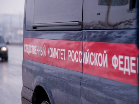 СК проводит проверку после находки на свалке в Волгограде тел двойняшек