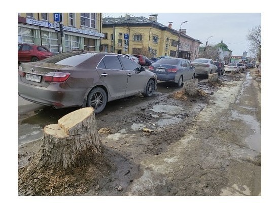 «Северная компания» срубила шесть тополей на улице Радищева в Рязани