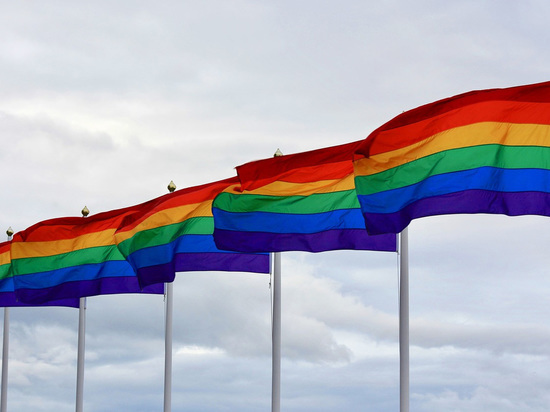 Депутат ГД собрался проверить Instagram-аккаунт на ЛГБТ-пропаганду