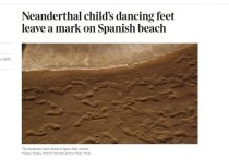 Штормовая погода и приливы на испанском пляже обнажили, по мнению палеонтологов, самые старые образцы следов неандертальцев эпохи позднего плейстоцена