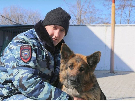 Служебный пес полиции нашел грабителя в кустах на Сахалине