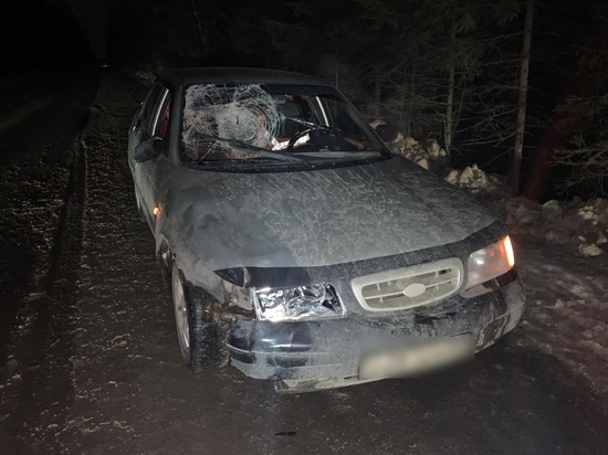 В Тверской области водитель не заметил и сбил нетрезвого подростка, который шёл по дороге