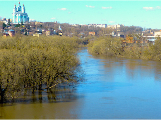 Смоленскэнерго реализовало комплекс технических мероприятий в преддверии паводкового периода 2021 года