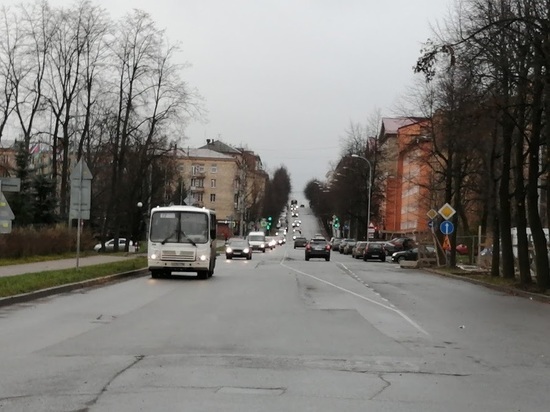 Продление улицы Куйбышева угрожает вырубкой Левашовскому бульвару