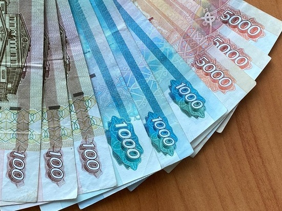 В рязанском поселке рецидивист украл деньги из дома пенсионера