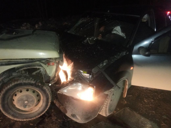 По вине нетрезвого водителя в Пинежском районе произошла авария