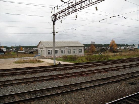 В Плесецком районе поезд насмерть сбил женщину