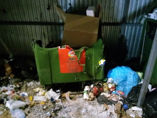 В Кирове за март зафиксировано 93 случая контейнерного вандализма