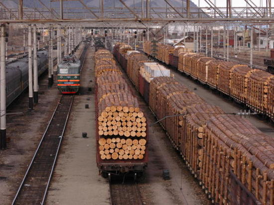 На 60 млн вывез леса в Китай бизнесмен из Куйтунского района