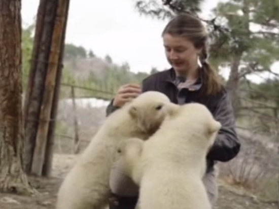 Для медвежат Сафари-Парка в Геленджике предложили 2,5 тысячи вариантов имён