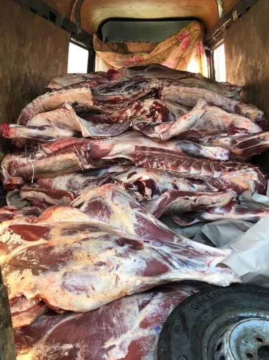 Нелегальный ввоз почти 4 тонн говядины остановили в Невельском районе