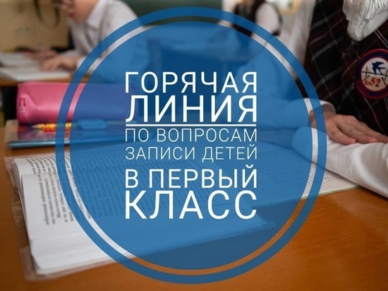 В Хабаровске заработала горячая линия по приему детей в первый класс