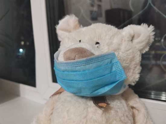 В Еврейской автономии продлили ограничения по коронавирусу