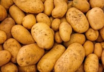 Для бедных российских семьей картофель – один из основных продуктов, но вопрос в том, сколько он будет стоить в сезон