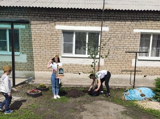 Мичуринск присоединится к Международной акции «Сад Памяти»