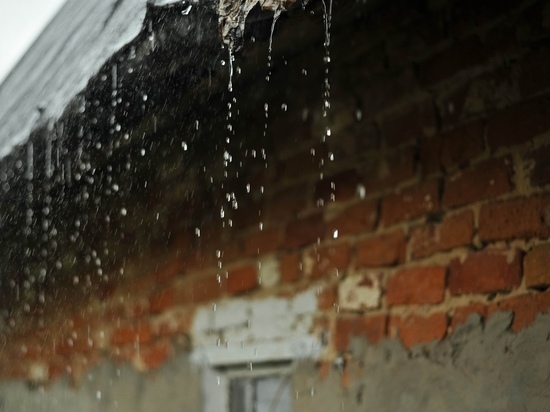 Прогноз погоды в Рязанской области на 1 апреля: дождь и до +11 градусов