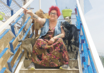 Почему Лена Березина, гражданка России, спасает грузинских собак, а не, к примеру, российских детей или стариков? «Во-первых потому, что я живу в Грузии