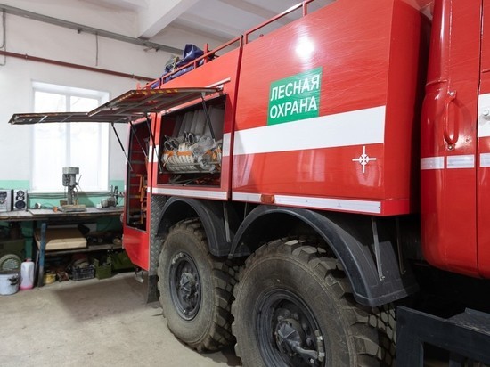 Псковская область стала первым регионом СЗФО, готовым к сезону пожаров на 100%