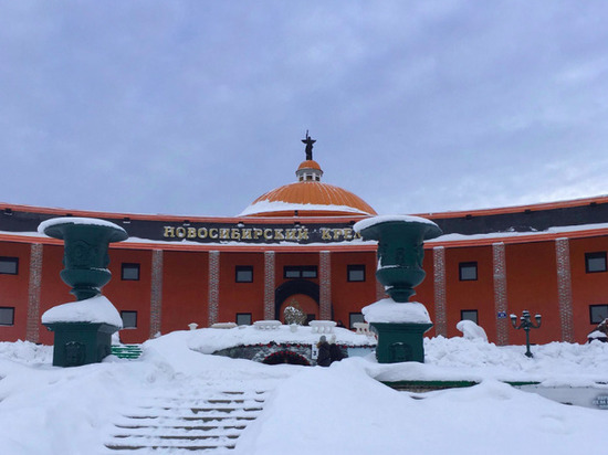 Посетительницу крематория в Новосибирске едва не придавило глыбой снега