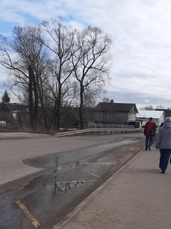 В воде под мостом в Тверской области нашли тело мужчины