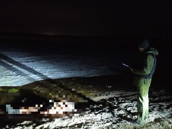 Под Саратовом рыбак провалился под лед и утонул на глазах товарищей