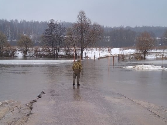 Из-за половодья в Сапожковском районе три моста ушли под воду