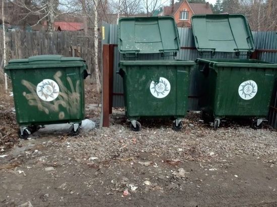 После обращения в соцсетях решилась проблема с вывозом мусора в тамбовском посёлке