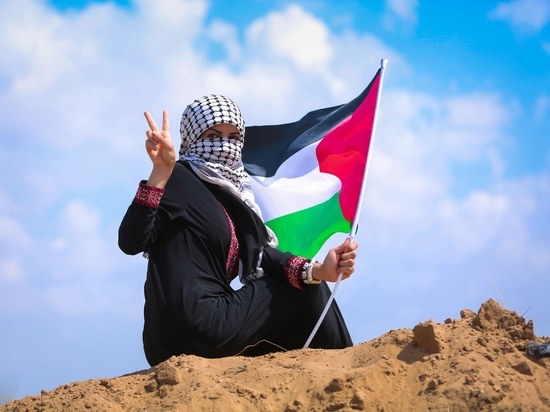 В США растет поддержка палестинцев