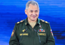 Российская армия с назначением Сергея Шойгу на должность министра обороны в 2012 году принципиально изменила систему боевой подготовки