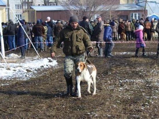 В Жердевском районе пройдёт выставка охотничьих собак