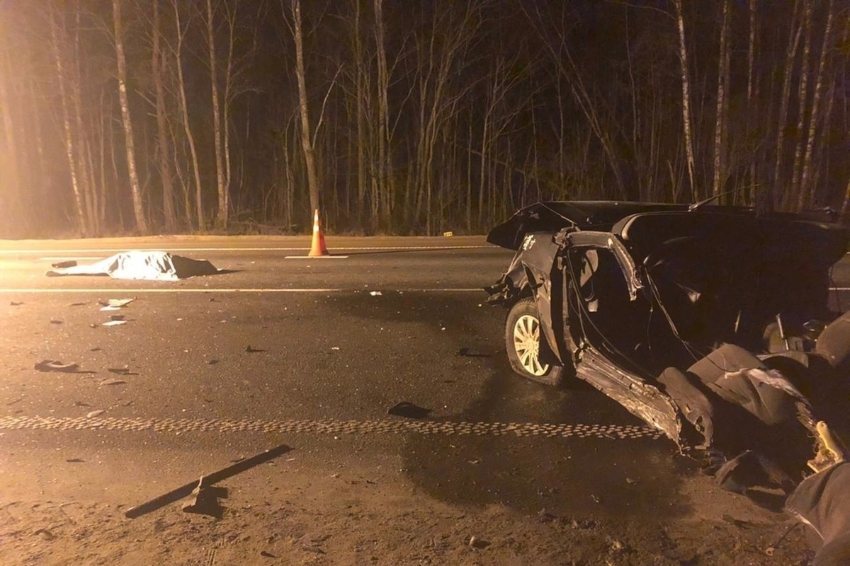 Двое молодых людей погибли в ДТП под Пустошкой - МК Псков