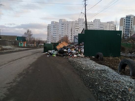 Омский мусорный оператор согласился, что тариф на вывоз отходов для юрлиц несправедлив