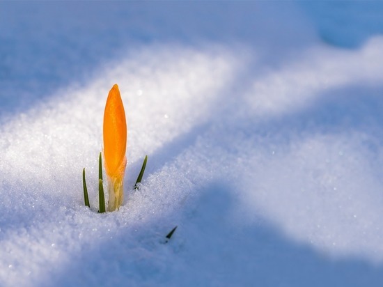 Когда ждать весны: синоптики рассказали про апрельскую погоду в Томске
