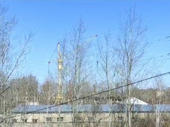 Ветер разнес 14 остановок в Белогорске