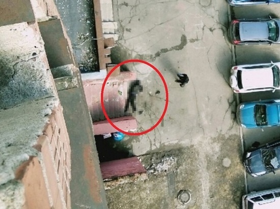 Один за другим: в Ярославле еще один мужчина выпал с балкона