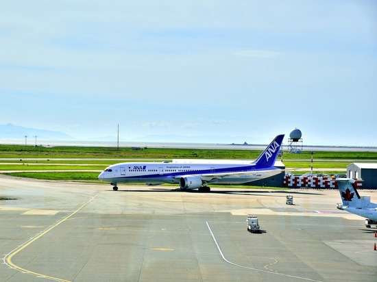 В Красноярске экстренно сел летевший из Японии самолет