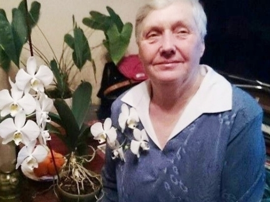В Псковской области продолжают искать пропавшую пожилую женщину