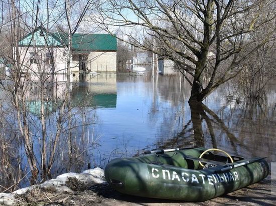 В Ряжске Рязанской области подтопило 64 дома