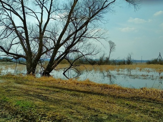 В Нижегородской области затопило 5 низководных мостов