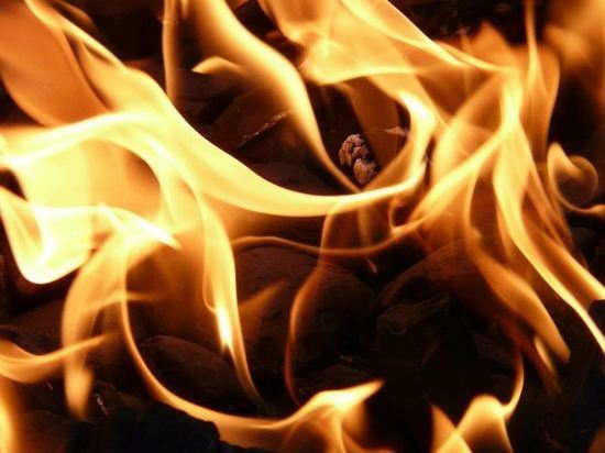 За сутки в Приамурье локализовали три лесных пожара