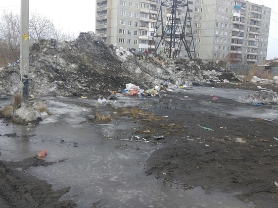 Жители Омска пожаловались на гору из мусора и снега на остановке Талалихина