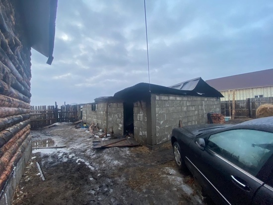 В Иркутском районе на пожаре погибло 10 лошадей