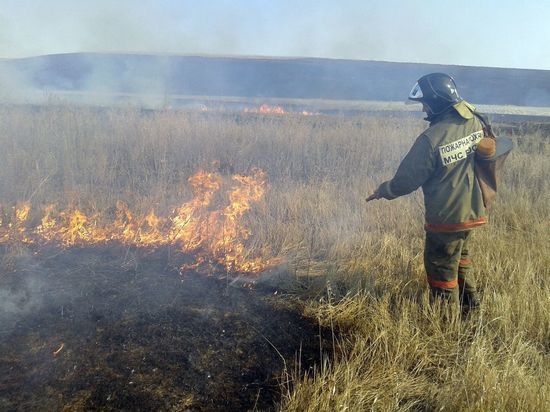 В Хакасии вводят особый противопожарный режим